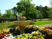 flowers blooming fountain