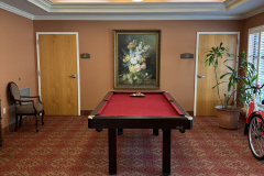 Pool-Room